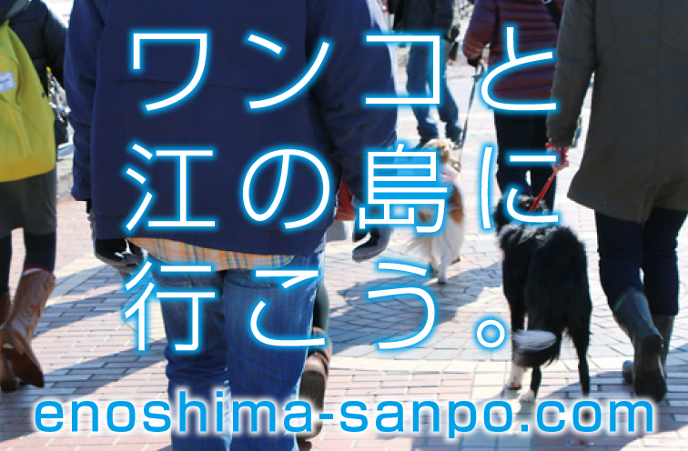 江の島さんぽ ～ワンコの休日～