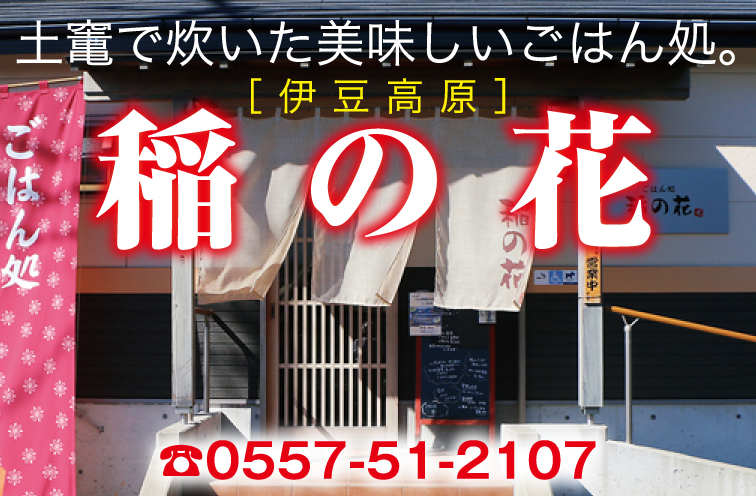 伊豆高原 稲の花