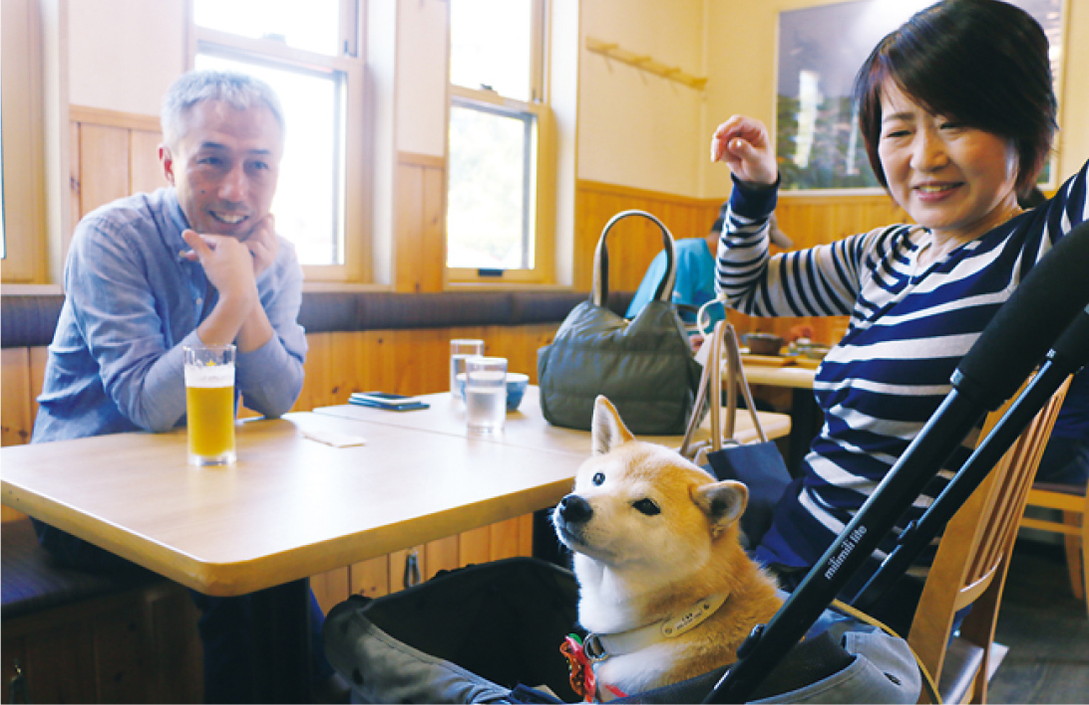 ワンコと入れるお店