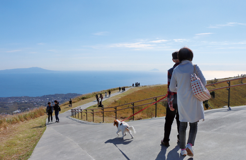 ワンコと伊豆高原さんぽ