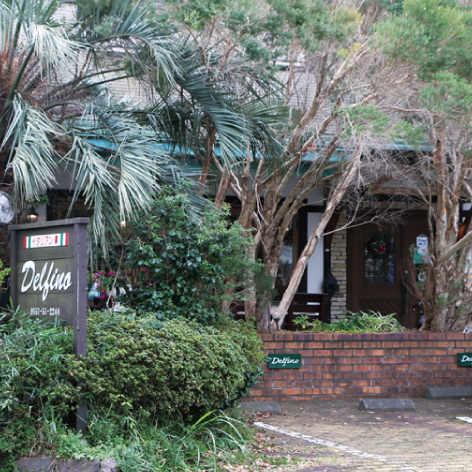 デルフィーノ　Delfino