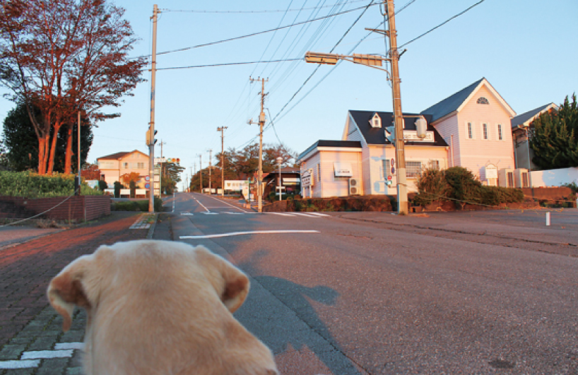 別荘地区をのんびりと散歩大室高原さんぽ