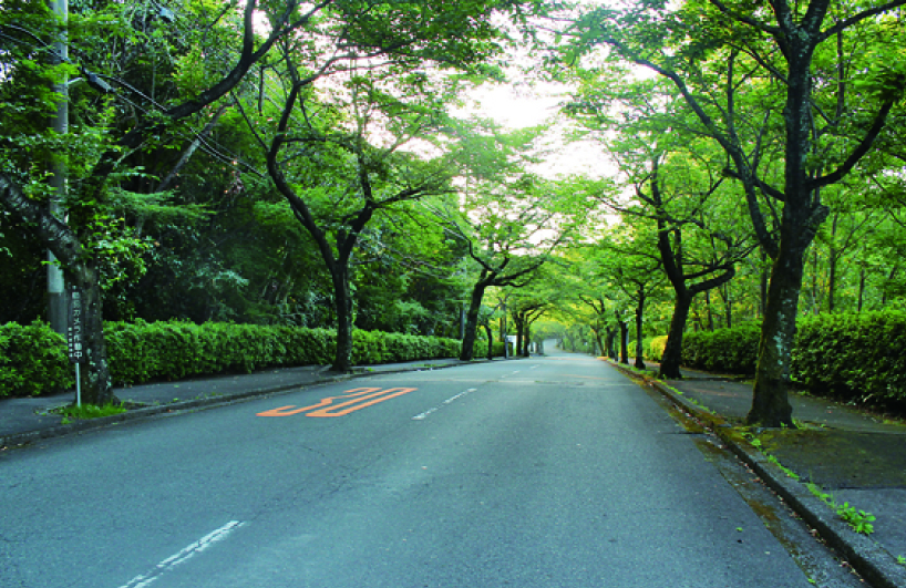 高級別荘地区を散策東大室さんぽ