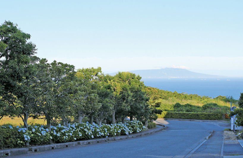 高原散歩しながら海が見えるリゾートさんぽ