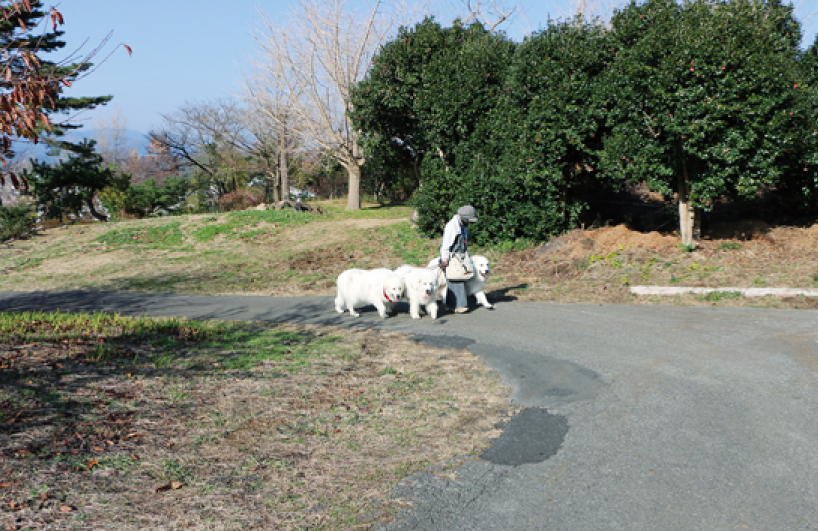 伊豆半島の絶景の海を見る小室山さんぽ