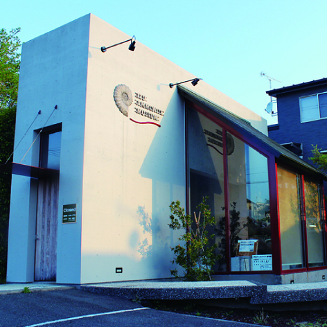 伊豆アンモナイト博物館