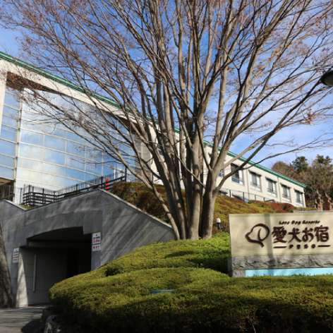 愛犬お宿　伊豆高原