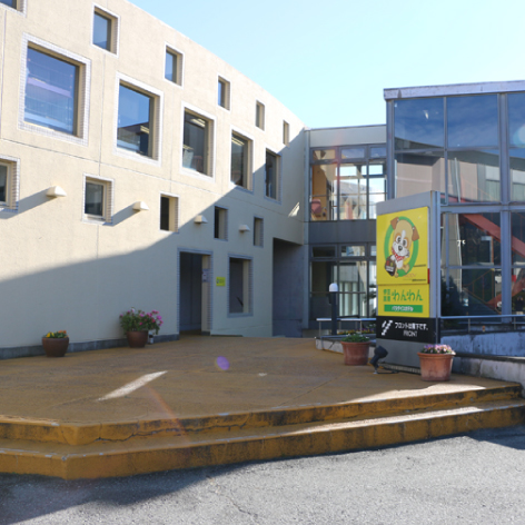 わんわんパラダイス